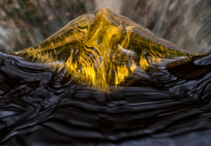 Europe, Germany, Lower Saxony, peat house, Harz National Park, water reflection, spruce at the Oderteich Europe, Germany, Lower Saxony, peat house, Harz National Park, water reflection, spruce at the Oderteich